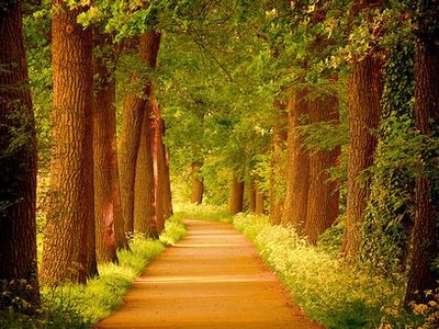 很不错的QQ说说:别矫情,这世上没有不带伤的人