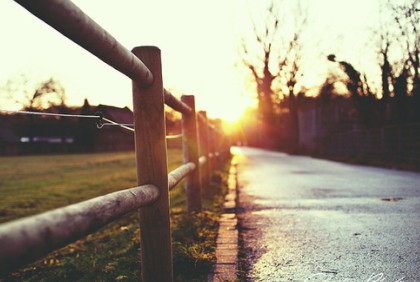 情感语录:此生,你不来,我不老,那该有多好