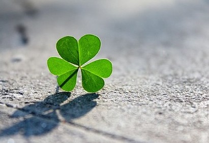 爱情说说带图片:恋爱,要么不开始,要么一辈子!