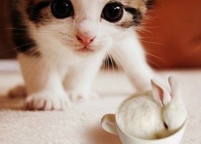 经典搞笑说说:你不喜欢我,这是病得治,一定得治