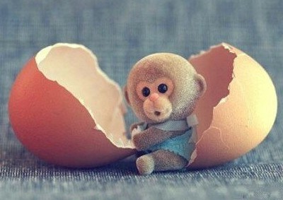 空间搞笑说说:这么不要脸,这么没心没肺,你的体重应该会很轻吧