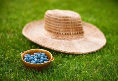 恶搞QQ说说:前世五百次的回眸,却换来今世的一句“流氓”