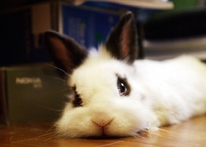 幽默的QQ心情:要不是打不过你,早就跟你翻脸了