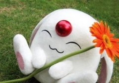 好玩的心情短语:学校你得到了我的肉体,可你。