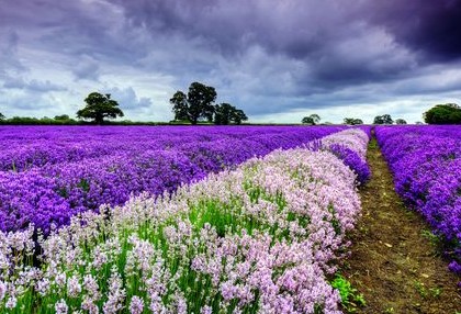 有意思的句子:考试真是so esay,哪里不会考哪里