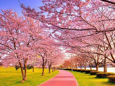 伤感想哭说说:不想看你不开心,却又嫉妒你和别人太开心1