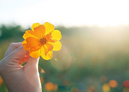 打动人的话:有些事注定成为故事,有些人注定成为故人