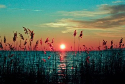 美到心痛的句子:终究要亲自受伤,才会学着聪明